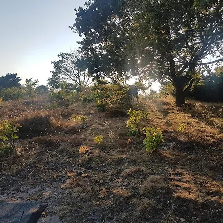 Nyaraló 4 Person In Ebeltoft-by Traum Ebeltoft